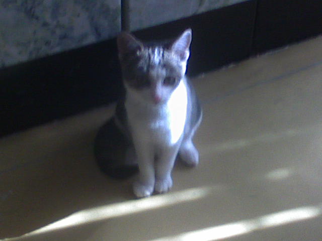 DSC00007.JPG