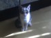 DSC00007.JPG