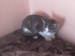 DSC00010.JPG