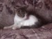 DSC00011.JPG