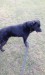 IMG-20160930-WA0000